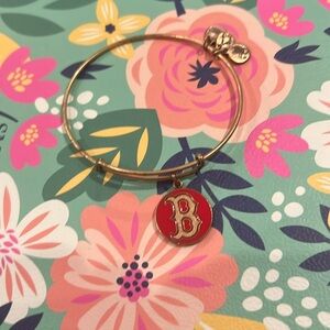Boston Red Sox Alex and ani